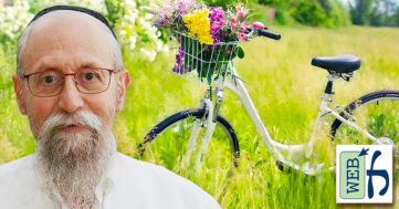 Bicycles on Shabbat