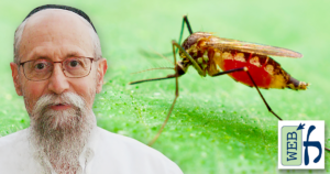 Killing & Trapping Insects on Shabbat